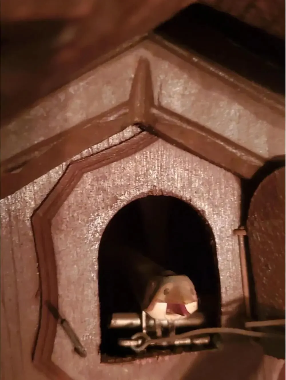 Vintage Cuckoo Clock